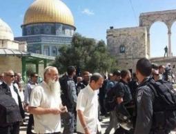 دعوات استيطانية لاقتحامات واسعة للأقصى غدا