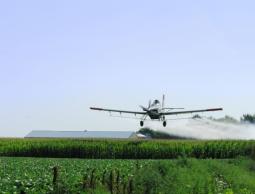 رش المبيدات.jpeg