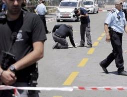 حصاد المقاومة بالضفة 2019