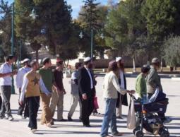 دعوات لاقتحامات واسعة للمسجد الأقصى بعد غد الاثنين