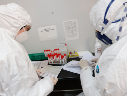 علماء يكتشفون خلايا العبور لعلاج فيروس كورونا