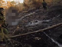 صورة للشهيد