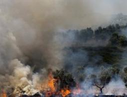 تقرير اممي : الأرض في خطر والبشر مهددون