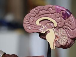 14 عادة يومية ستساعدك على اكتساب ذاكرة قوية.. تعرف إليها