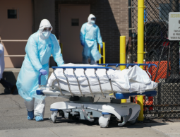 كورونا عالميا: أكثر من مليون و318 ألف حالة وفاة و54 مليونا و329 ألف إصابة