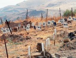 زاد عددهم واحدا.. 81 جثمانا محتجزة في انتظار لحظة الوداع