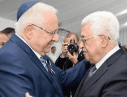 عباس وريفلين