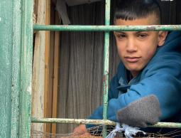 الطفل قنيبي