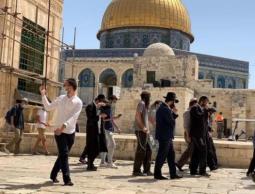محاولات الاحتلال تحويل الأقصى لمزار سياحي تصعيد خطير