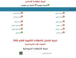 ظهرت رسميا الأن نتيجة الشهادة السودانية 2022 بالاسم ورقم الجلوس