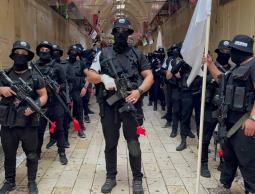 عرين الأسود