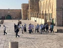 مستوطنون يقتحمون الأقصى وسط إجراءات مشددة