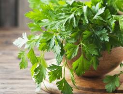 لكلى نظيفة.. تعرف على فوائد البقدونس والطريقة الصحيحة لاستخدامه