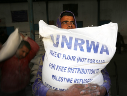 الأونروا بغزة.. رابط فحص توزيع 