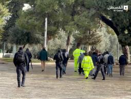 اقتحام الاقصى