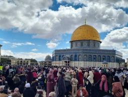 الاقصى اليوم