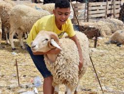 موعد عيد الأضحى المبارك 2023.. متى عيد الأضحى 2023 فلكياً.. العد التنازلي لعيد الأضحى 2023