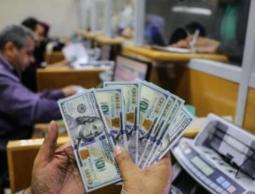 رابط فحص المنحة القطرية 100 دولار شهر 8 اغسطس.. أسماء المنحة القطرية الجديدة