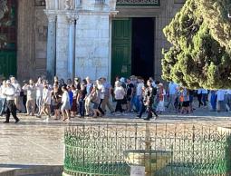 مئات المستوطنين يقتحمون الأقصى لإحياء يوم الغفران اليهودي