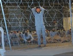 صورة من الأرشيف