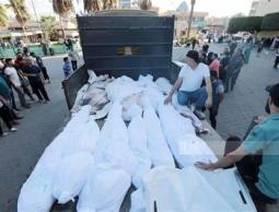 صورة توضيحية