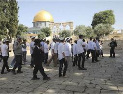 مستوطنون يقتحمون الأقصى وسط إجراءات مشددة من الاحتلال