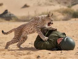 صورة تعبيرية