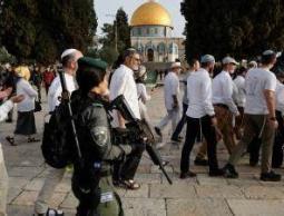 مستوطنون يقتحمون المسجد الأقصى تحت حماية الاحتلال وتوترات متزايدة في القدس