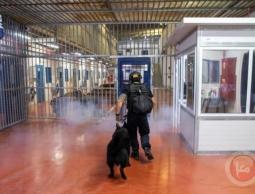 استشهاد الأسير عمرو عودة تحت التعذيب في معسكر (سديه تيمان الإسرائيلي)