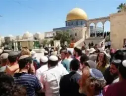 تحريض غير مسبوق لاقتحام المسجد الأقصى في الذكرى العبرية لاحتلال القدس الشرقية