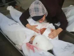 قصف أوسع وليلة دامية