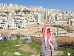 الحوض المقدّس.. مشروع تهويدي يستهدف قلب القدس من بوابة سلوان!