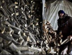 جمع الحطب في غزة.. طريق آخر للموت