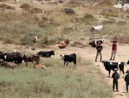 كيف تستخدم حكومة نتنياهو 