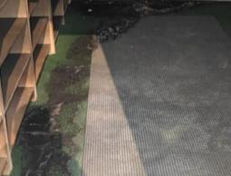 مستوطنون يضرمون النار في مدخل مسجد أبو بكر الصديق جنوب نابلس