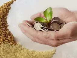 رئيس لجنة الإفتاء بالجامعة الإسلامية: يجوز دفع زكاة الفطر عبر التطبيق البنكي بقيمة 10 شواقل للفرد