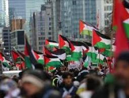 حماس تدعو إلى حراك عالمي ومسيرات غاضبة لوقف العدوان والإبادة في غزة