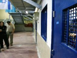 سجن إسرائيلي (أرشيف)