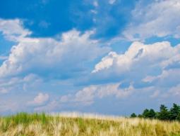 أجواء صيفية عادية