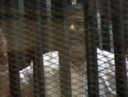  الرئيس المصري السابق محمد مرسي