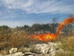 صورة "أرشيفية"