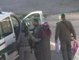 صورة ارشيفية