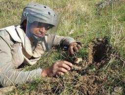 ارشيفية