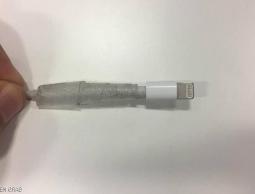 صورة من الوصلة