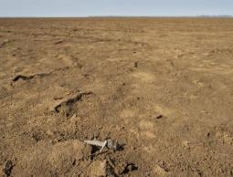 2016 أكثر الأعوام حرارة على الإطلاق