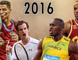 أبطال 2016 في الرياضات المختلفة