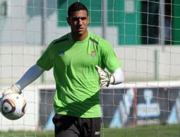 أحمد الشناوي