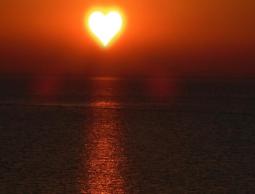 البيت الذي لا تدخله أشعة الشمس يدخله الطبيب