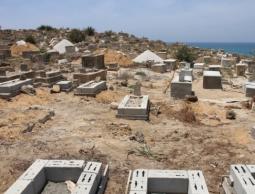 صورة من (الأرشيف)