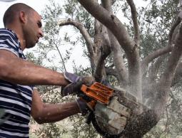 (صورة أرشيفية )